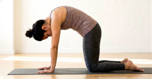 Illustration of Marjariasana showing gentle spinal movement that relaxes pelvic muscles and improves circulation during painful menstruation.